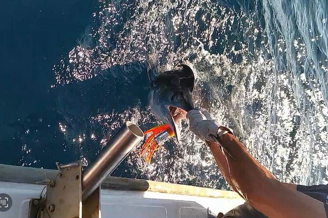 Alcántara Private Experience Charter Fishing/Walking - Directions