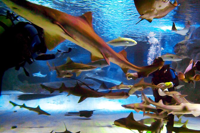 Alexander Waterfall and Antalya Aquarium Day Tour From Side - Tour Inclusions