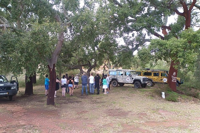 Algarve Half Day Jeep Safari Tour - Minimum Traveler Requirement