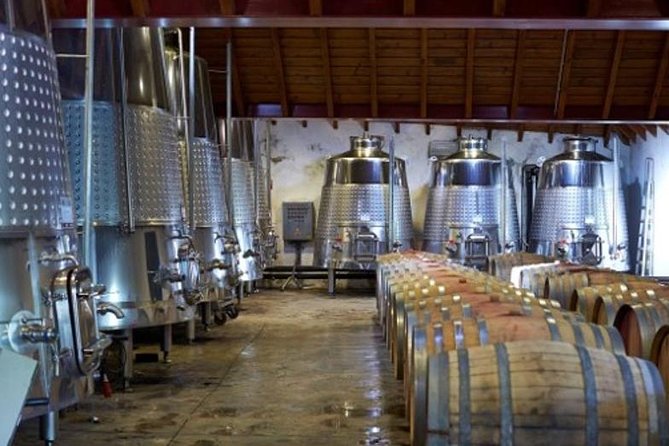 Algarve Wine Tour of Two Wine Estates - Positive Traveler Feedback and 5.0 Overall Rating