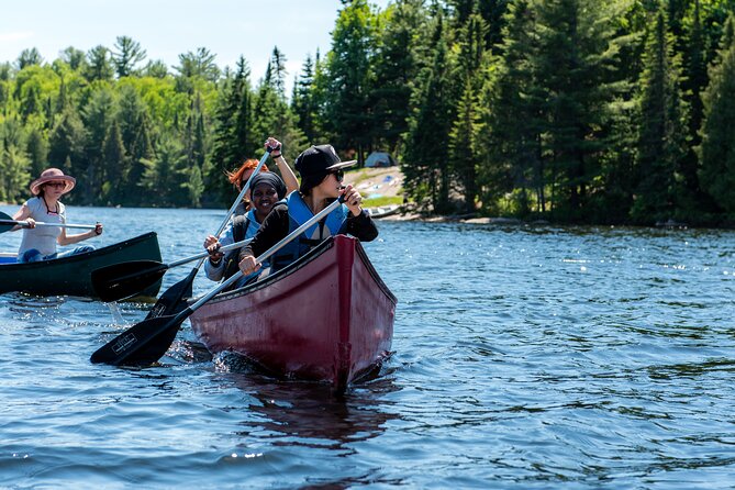 Algonquin Park Luxury 3-Day Camping & Canoeing: Moose/Beaver/Turtle Adventure - The Sum Up