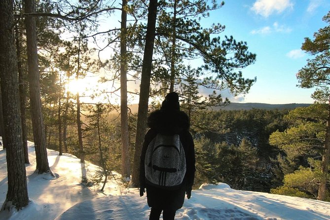 Algonquin Park Winter Adventure - Snowshoeing and Cross-country Skiing
