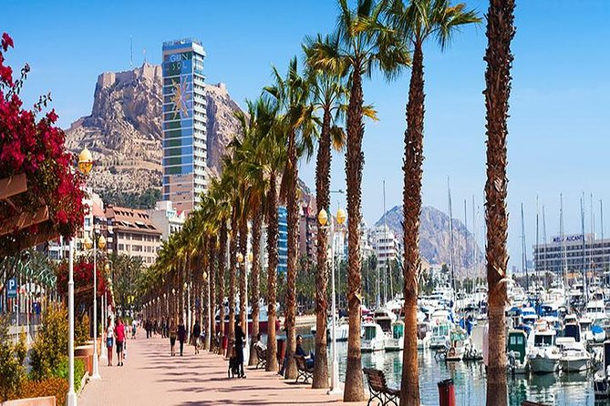 Alicante Private Walking Tour - Common Questions