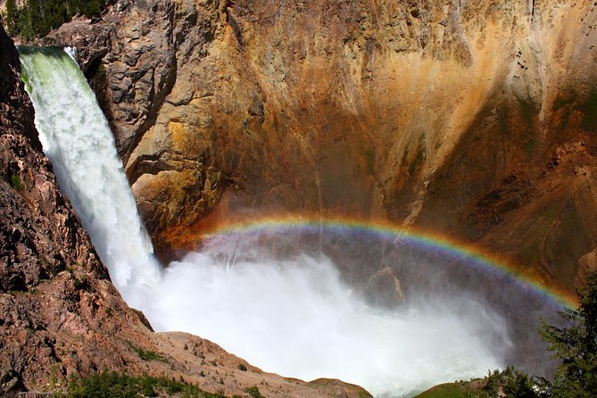 All-Day Tour of Yellowstone National Park - Tour Pricing and Cancellation Policy