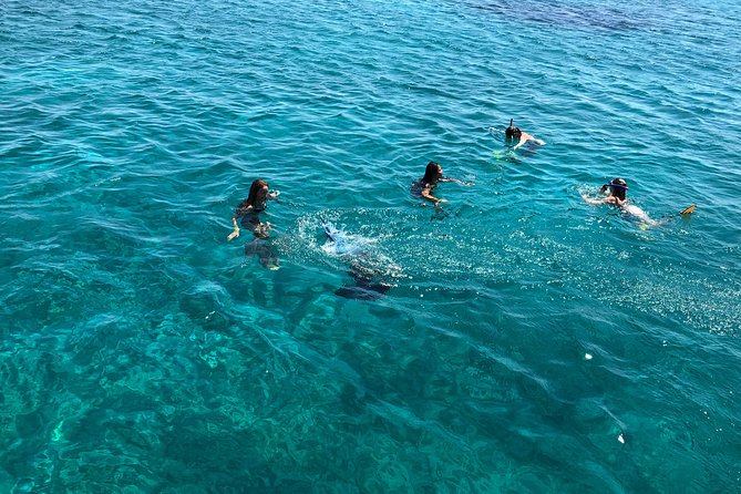 All Included Mykonos South Beaches, Rhenia and Delos Islands (Free Transfers) - Cancellation Policy