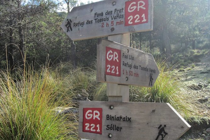 Alpine Hiking Tour in Winter Mallorca - Meeting Point and Transportation