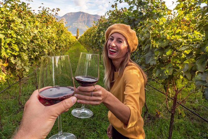 Alsace Wine Odyssey: Full-Day Private Tour From Strasbourg - Cancellation Policy