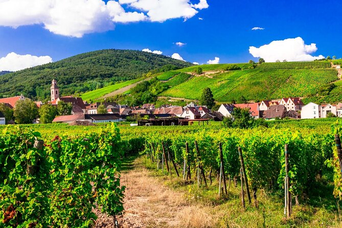 Alsace Wine Route Small Group Half-Day Tour With Tasting From Strasbourg - Tour Highlights