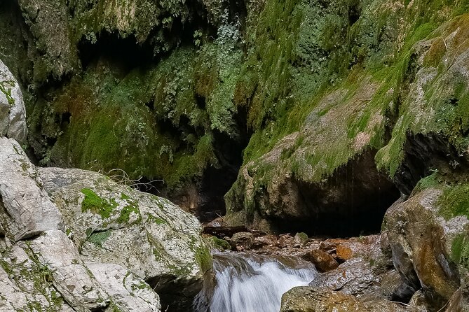 Amalfi Walking in Ferriere Valley Nature Reserve- Private Tour - The Sum Up