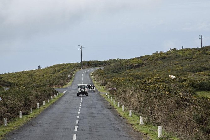 Amazing West - Jeep Safari Tour - Full Day - The Sum Up