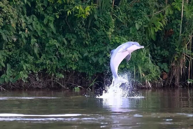 Amazon Jungle Excursions 2/ Days /1 Night - Common Questions