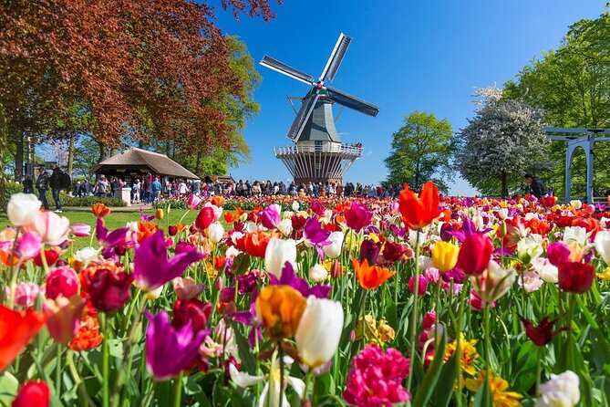 Amsterdam: Tour to Keukenhof, Tulip Farm Visit Windmill Cruise - Traveler Photos