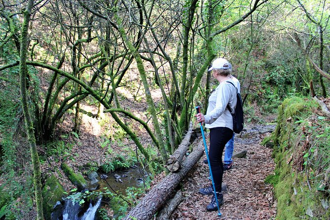 An Adventure Through the Schist Villages of Lousã (With Walk) - Local Cuisine and Traditions in Lousãs Schist Villages