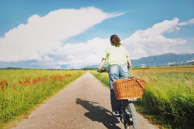 An All-Terrain Electric Scooter Excursion in Génissieux - Enjoying Natures Beauty on an Electric Scooter