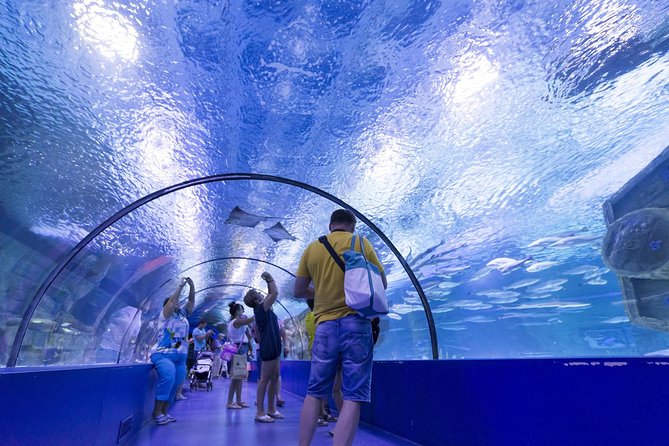 Aquarium & Face2face Wax Museum From Antalya - Common Questions
