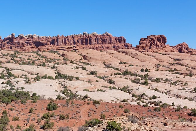Arches National Park Hidden Side Guided Hike  - Moab - Tour Companys Review Checks
