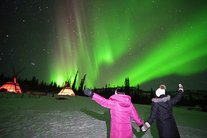 Arctic Day: Aurora Viewing Tour Evening - Common Questions