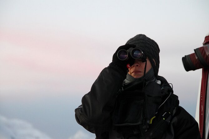 Arctic Fjordcruise & Safari in Tromso With Luxury Catamaran - Common Questions