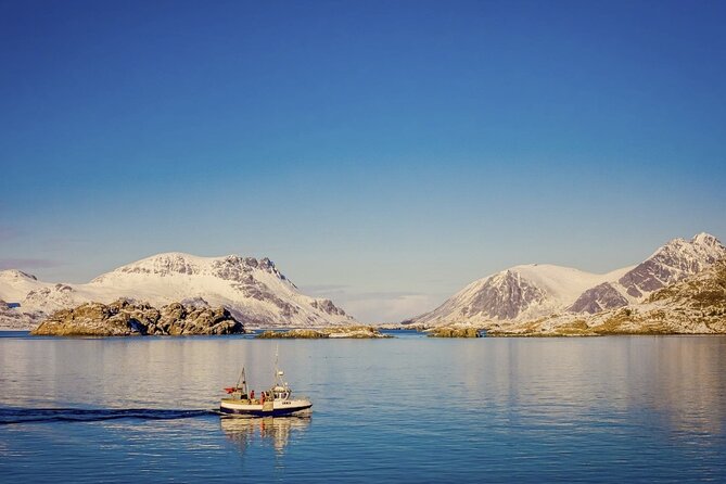 Arctic Wildlife and Fjord Sightseeing - Common Questions