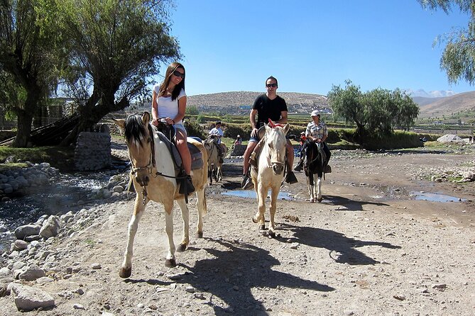 Arequipa 4 Hrs City Tour, Campiña, Viewpoints and Sabandia Mill - The Sum Up