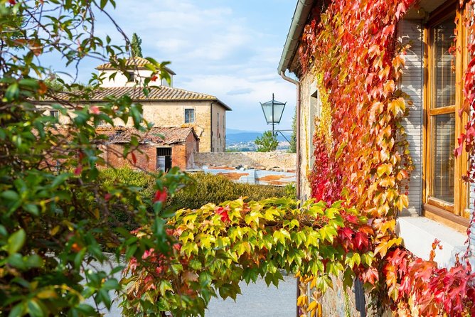 Arezzo: Wine Tasting Experience in Valdichiana Area - Reviews and Ratings