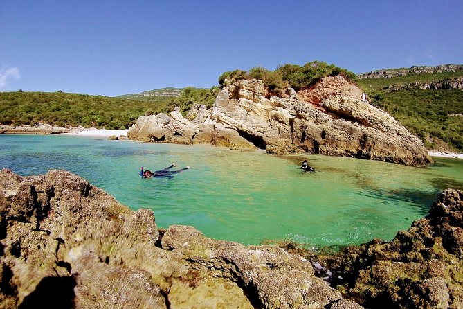 Arrábida Snorkeling Adventure With Transfer From Lisbon - Additional Information and Cancellation Policy