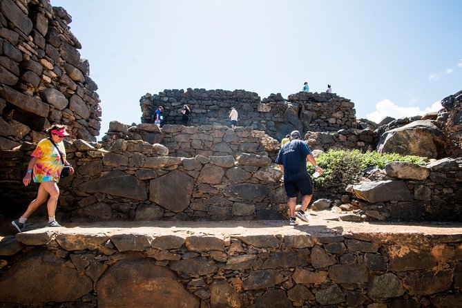 Aruba: Natural Bridge, Alto Vista, Aloe Factory, Ostrich Farm  - Oranjestad - Common Questions
