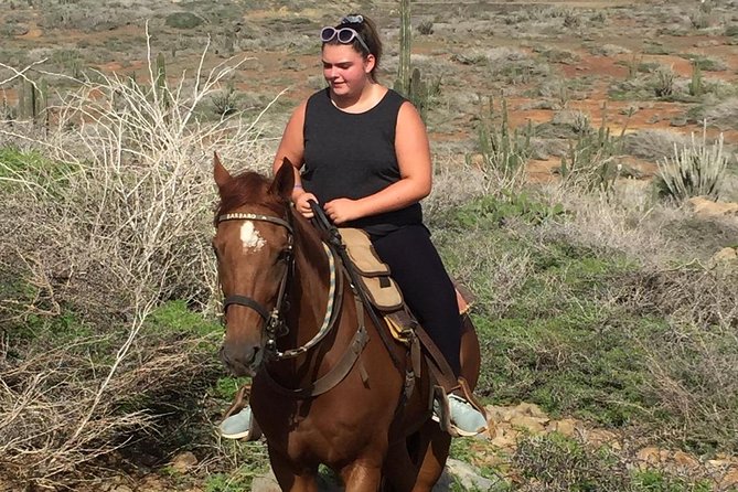 Aruba Private, 2 Hour Horseback Riding Tour For Advanced Riders - Common Questions