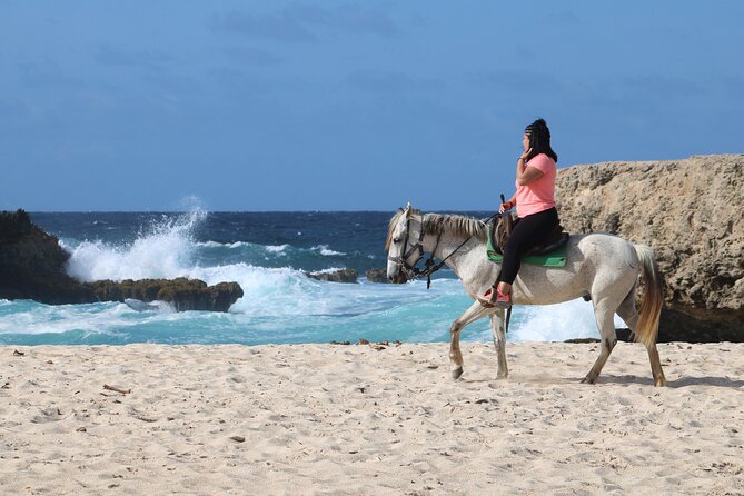 Aruba: Small-Group North Coast Horseback Tour - Common Questions