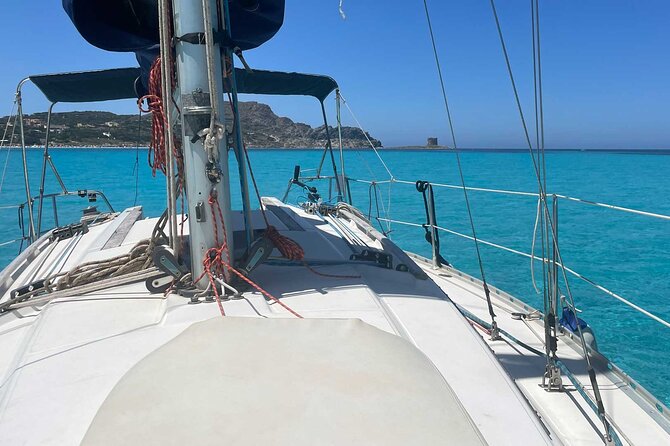 Asinara Full Day Sailboat Tour From Stintino - Start and End Time