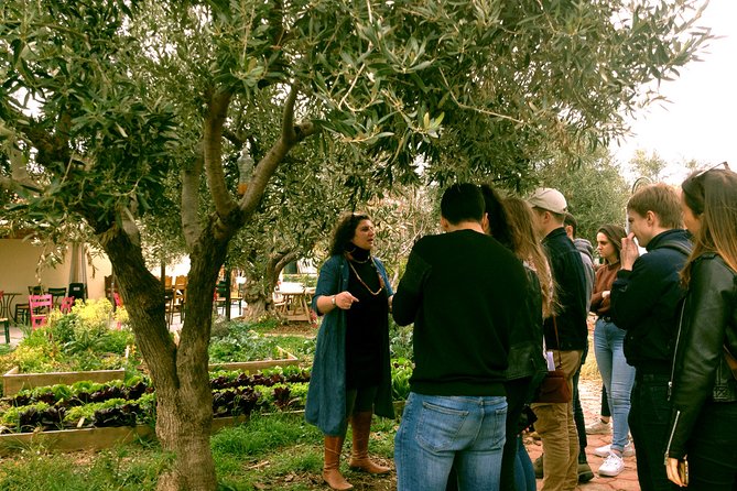 ATHENS OLIVE ESTATE - Tasting & Tour With Farm-To-Fork Lunch - Common Questions