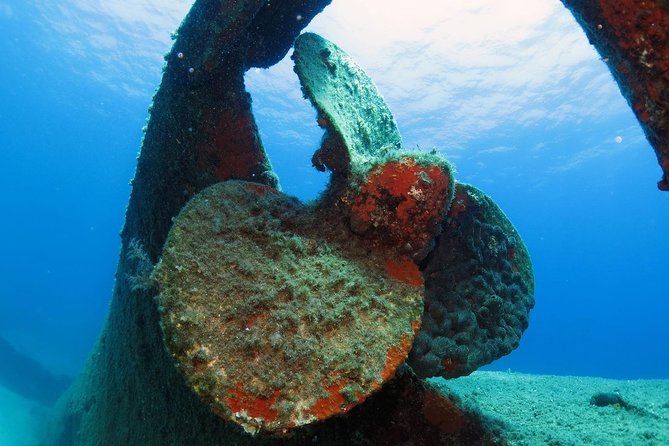 Athens Scuba Diving Experience for Certified Divers With Pick up - Pickup and Drop-off Information