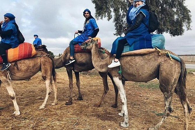 Atlas Mountain & Berber Villages and Waterfalls Day Trip From Marrakech - Hassle-Free Departure From Marrakech