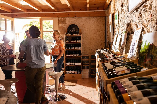 Aude Hidden History and Wine Tasting at ChȃTeau De Luc  - France - Languages Spoken and Accessibility