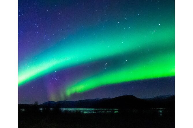 Aurora Borealis Tour Kiruna - Abisko With Local Street Food - Value for Money and Recommendations