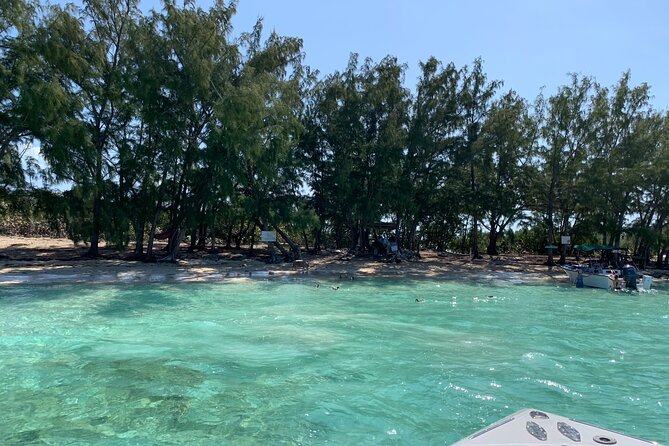 Bahamas Beaches and Swimming Pigs Full-Day All-Inclusive Tour  - New Providence Island - Common Questions
