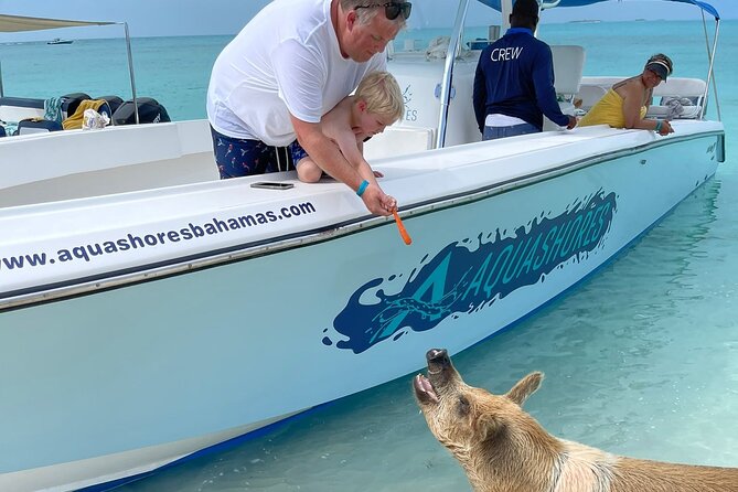 Bahamas: Exuma Cays and Swimming Pigs Powerboat Tour  - New Providence Island - Experience Pig Beach and Swimming Pigs