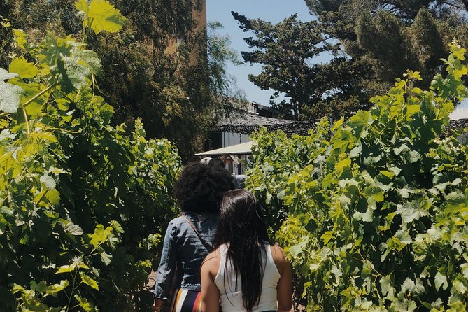 Baja Tour Guide Wine Tour - Common Questions