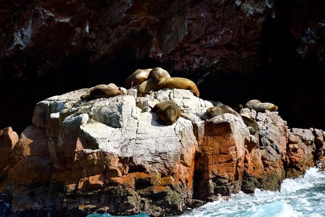 Ballestas Islands and Paracas National Reserve Day Trip From Paracas - Directions