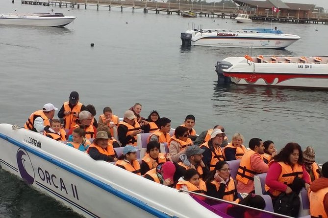 Ballestas Islands Group Tour From Paracas - Pricing and Terms for Ballestas Islands Group Tour