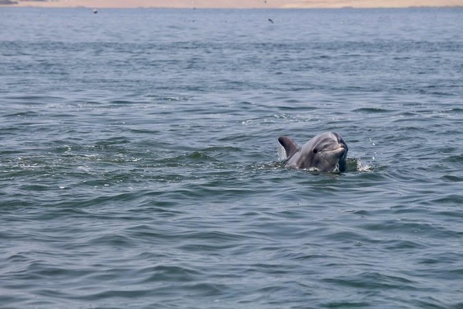 Ballestas Islands Tour From Pisco - Directions