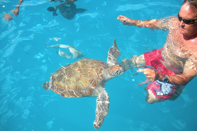 Barbados Catamaran Turtle Snorkel With Open Bar - Directions