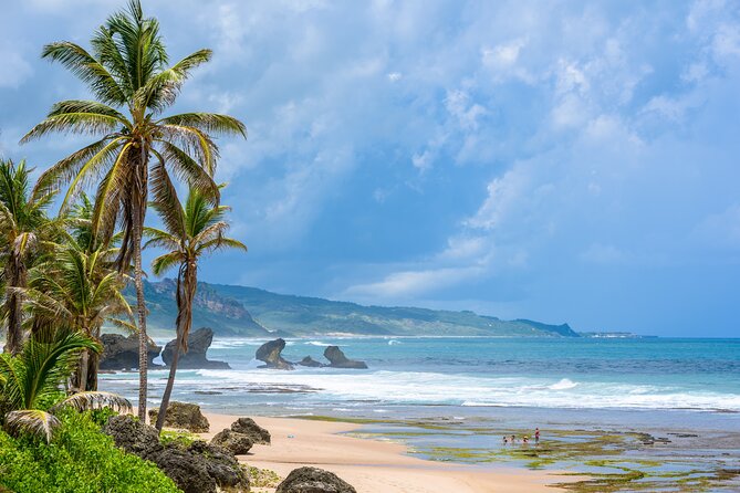 Barbados Coastal Tour - Contact Supplier and Booking Information