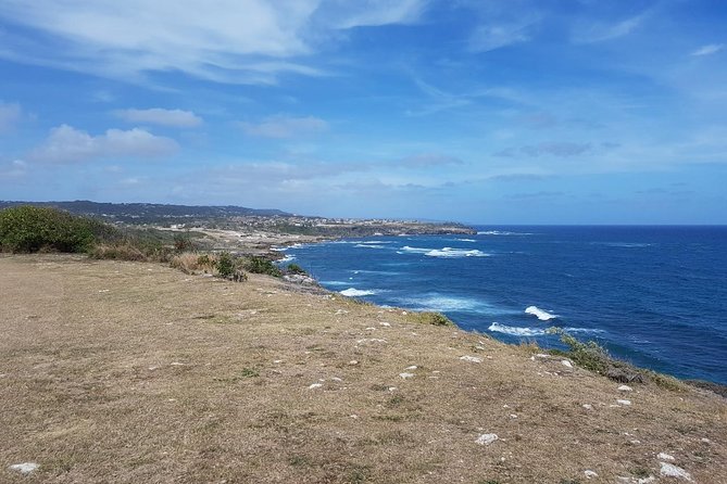 Barbados Full-day Private Tour - Viator Help Center and Information