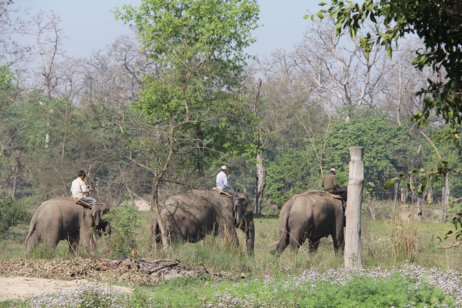 Bardia Tiger Tracking Tour 3 Nights 4 Days Full Package - Cancellation and Refund Policy