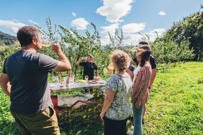 Basque Whaleship & Cider House" Tour Meal From San Sebastian - Scenic Drive to San Sebastian