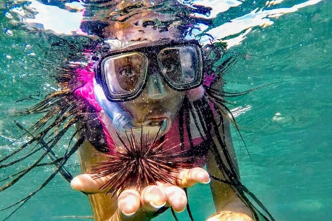 Beach Break Experience & Snorkeling With Lunch - Additional Information and Terms & Conditions