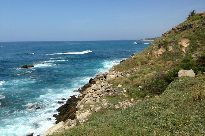 Beaches Dolphins And Viewpoints Discovering The Hidden Port By Sea And Land - Sampling Mezcal at a Local Distillery