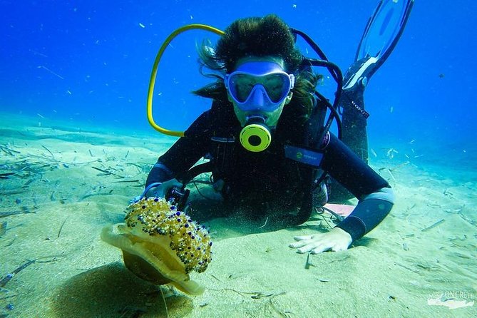 Beginner Diving Experience in Ligaria Bay - Nearby Public Transportation