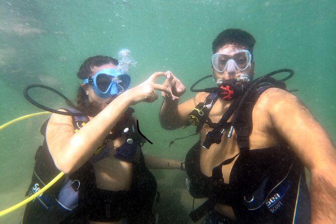 Beginner SCUBA Diving in Old San Juan - The Sum Up